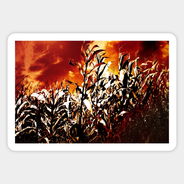 Fire in the corn field Magnet by Gaspar Avila